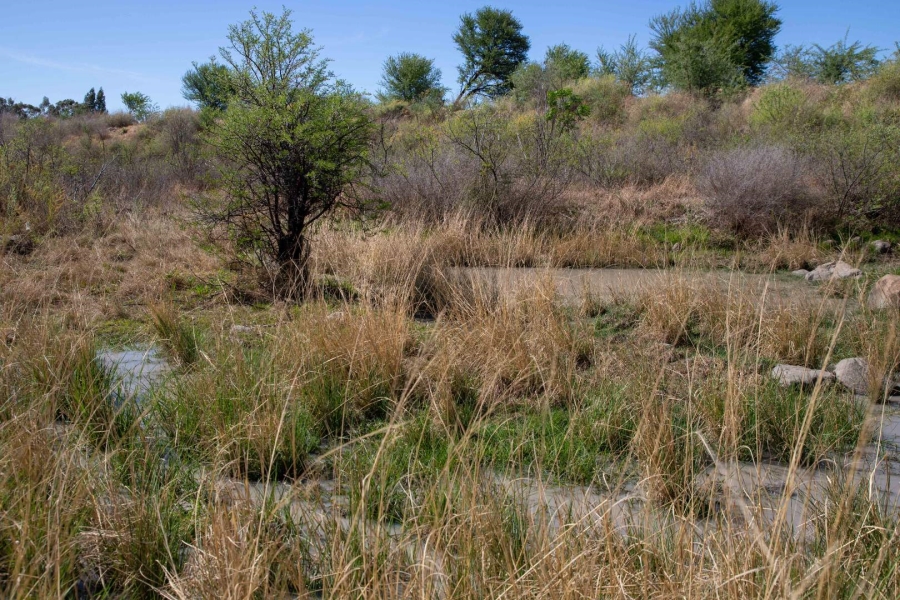 Commercial Property for Sale in Koppies Free State